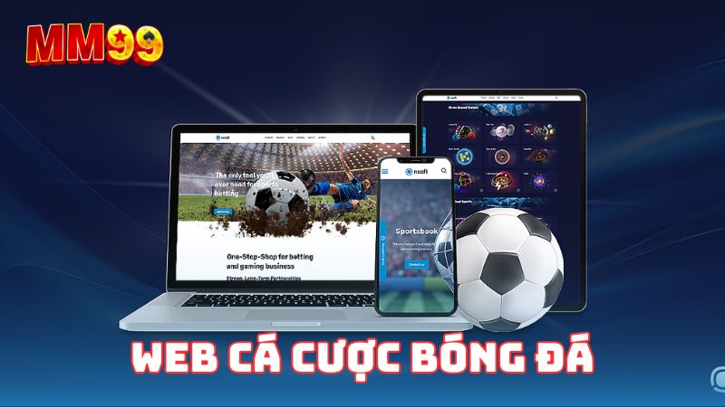 Tìm hiểu web cá cược bóng đá